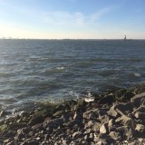 IMG_3155