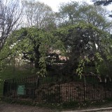 IMG_3320